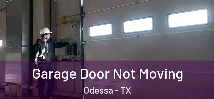 Garage Door Not Moving Odessa - TX