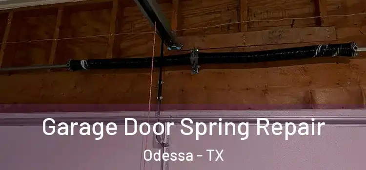  Garage Door Spring Repair Odessa - TX