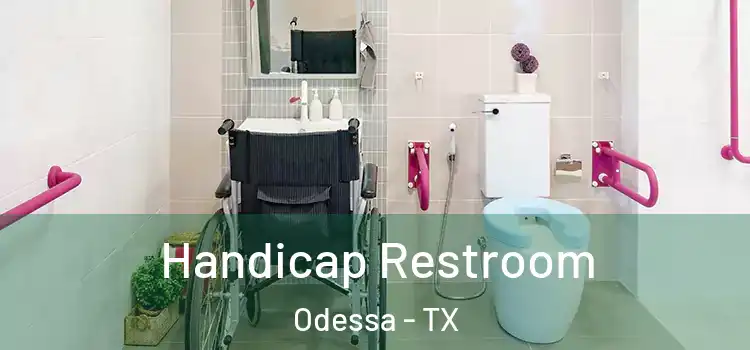  Handicap Restroom Odessa - TX