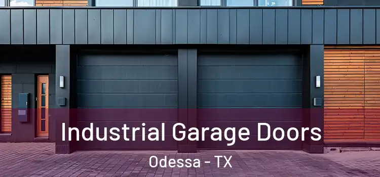  Industrial Garage Doors Odessa - TX