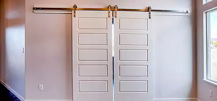 Glass Barn Door with Installation Hardware Kit Odessa